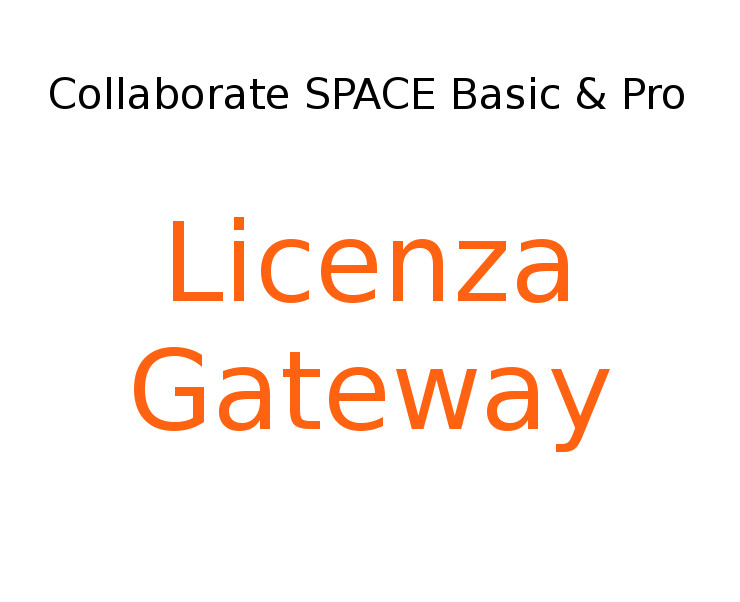 Collaborate SPACE Gateway - visualizza la scheda